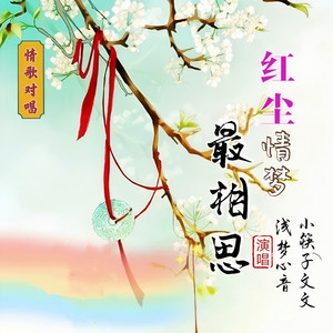 红尘情梦最相思