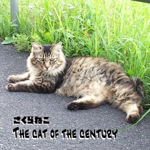 The cat of the century