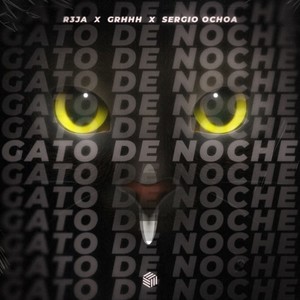 Gato de Noche