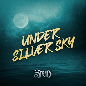 Under Silver Sky