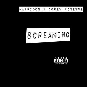 Screaming (feat. Corey Finesse) (Explicit)