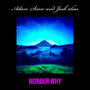 Wonder Why (Explicit)