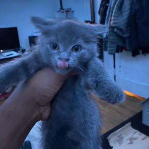 LimitonTalkin Jersey club (Explicit)