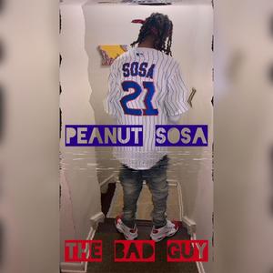 The Bad Guy (Explicit)