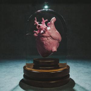 inconvenient truths (Explicit)