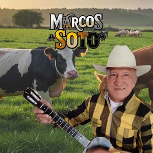 Soy Llanero Cien por Ciento