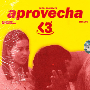 aprovecha<3 (feat. Lilkovo, Soki Beats) (Explicit)