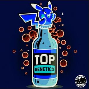 TOP GENETIK (Explicit)