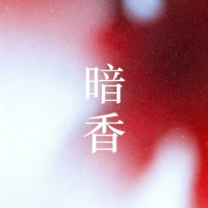 暗香-金珞然