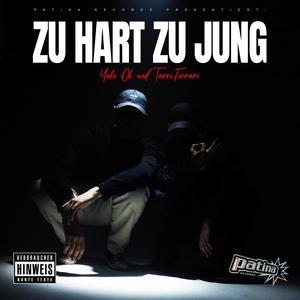 ZU HART ZU JUNG (Explicit)