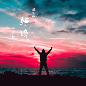 嫌晚 (烟嗓版)封面