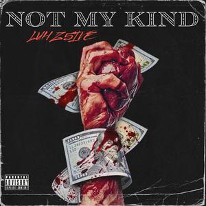 Not My Kind (feat. Luh Ebrake & Backdooryn) [Explicit]