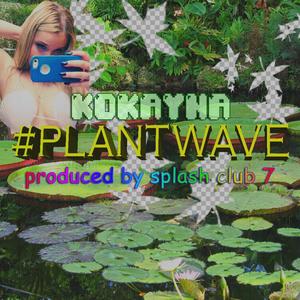 #PLANTWAVE (Explicit)