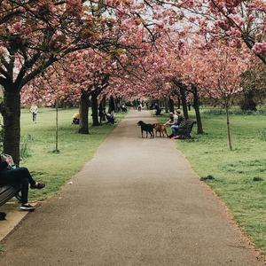 a walk in the park