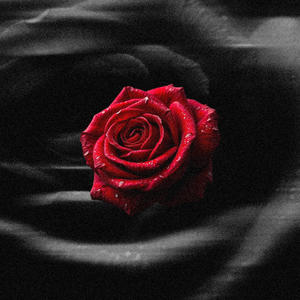 Bleed