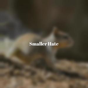 Smaller Hate