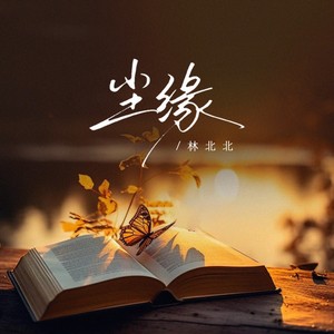 尘缘 (女版)