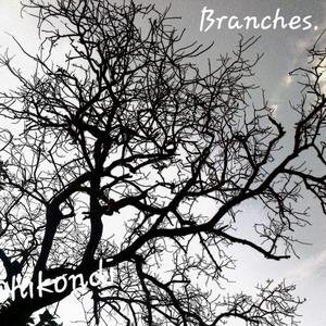 Branches