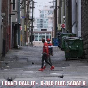 I Can't Call It(feat. Sadat X) (Explicit)
