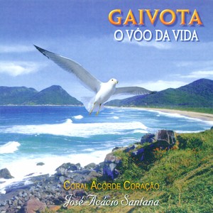 Gaivota: O Vôo da vida