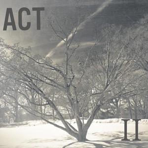 Act, Vol. II