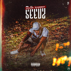 SEEDS (Explicit)