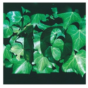 バンドやろうぜ!