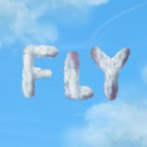 FLY