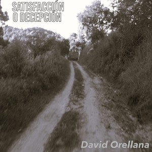 Satisfaccion O Decepcion