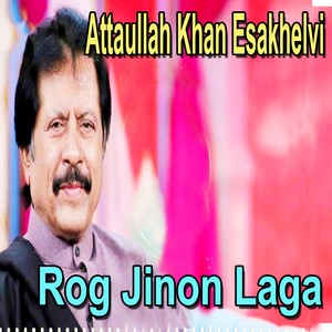 Rog Jinon Laga