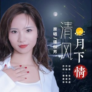 清风月下情 (伴奏)