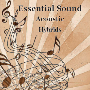Essential Sound Acoustic Hybrids
