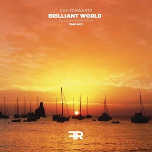 Brilliant World