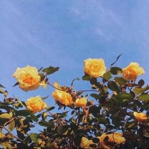 Awkward(feat. Matthew The Kidd & Ikbakimari) (Explicit)