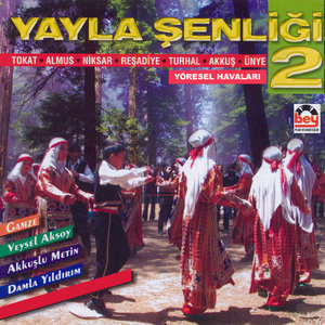 Yayla Şenliği 2