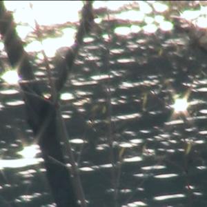 HELLO. (Prod.BigSwing)