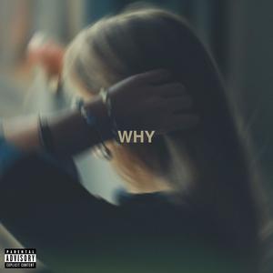 why (feat. Deeplane) (Explicit)