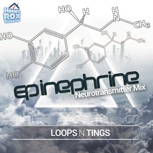 Epinephrine (Neurotransmitter Mix)