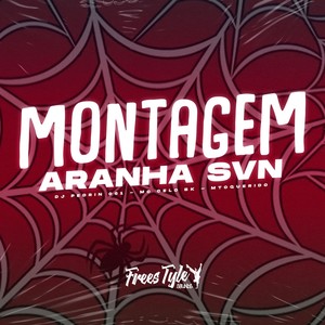 Montagem Aranha SVN (Explicit)