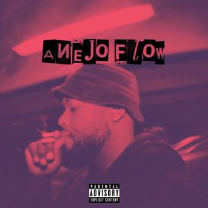 AnejoFLOW (Explicit)