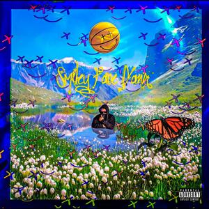 I Like It (feat. Annemaaike & Tee Volatile) (Explicit)