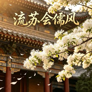 流苏会儒风
