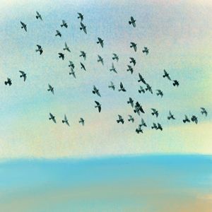 мурмурация