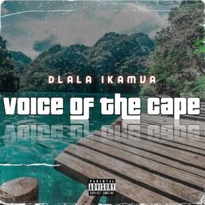 Voice of The Cape (feat. Slender Somdantso)