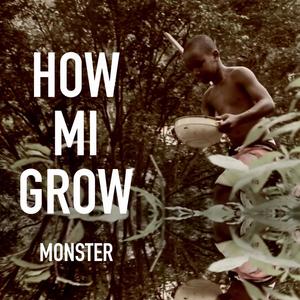 How Mi Grow