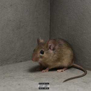 People_Got_Emotions (Explicit)