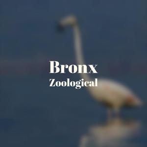 Bronx Zoological