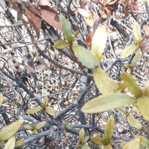 Beat (节拍) (口白)