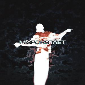 MISFORSTÅET