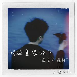 我还是没放下还是会想她-路人几